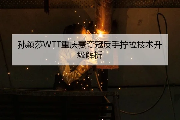 sun-ying-sha-chong-qing-sai-duo-guan-fan-shou-ning-la-ji-shu-sheng-ji-jie-xi-2-421.jpg