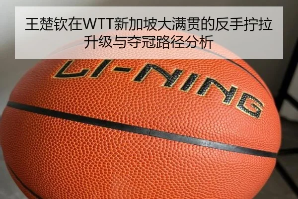 wang-chu-qin-zai-xin-jia-po-da-man-guan-de-fan-shou-ning-la-sheng-ji-yu-duo-guan-lu-jing-fen-xi-2-239.jpg