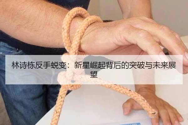 lin-shi-dong-fan-shou-tui-bian-xin-xing-jue-qi-bei-hou-de-tu-po-yu-wei-lai-zhan-wang-2-876.jpg