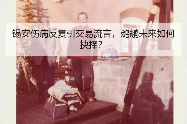 锡安伤病反复引交易流言，鹈鹕未来如何抉择？