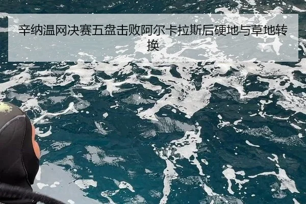 xin-na-wen-wang-jue-sai-wu-pan-ji-bai-a-er-ka-la-si-hou-ying-di-yu-cao-di-zhuan-huan-3-989.jpg