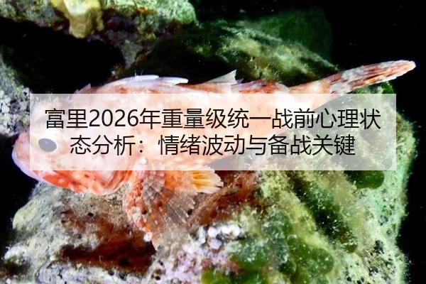 fu-li-nian-zhong-liang-ji-tong-yi-zhan-qian-xin-li-zhuang-tai-fen-xi-qing-xu-bo-dong-yu-bei-zhan-guan-jian-2-759.jpg